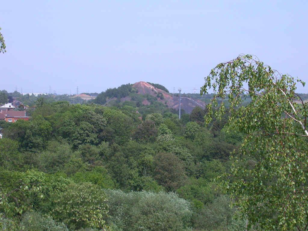 Arriva con il caldo...   QUIZ